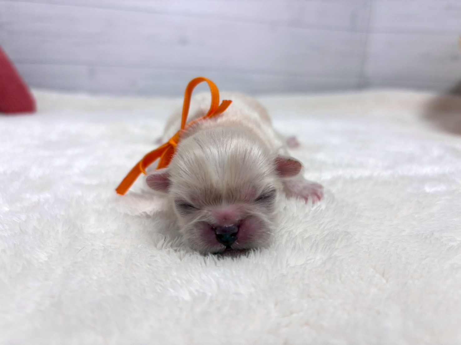 赤ちゃん写真1-1