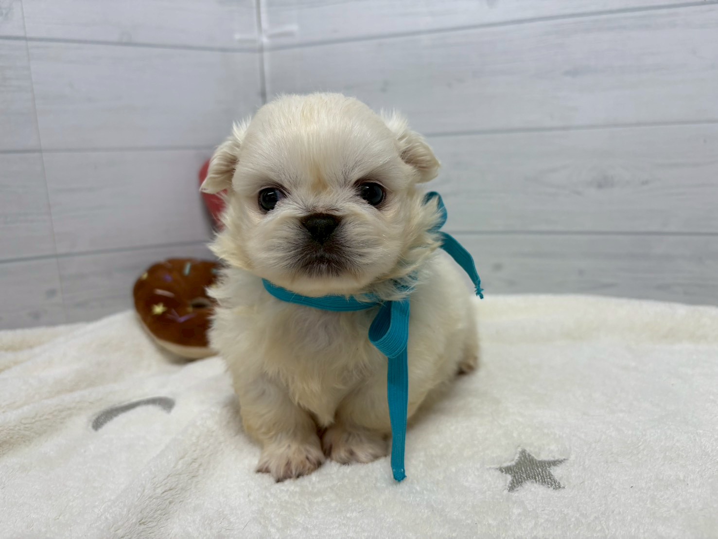 赤ちゃん写真2-1