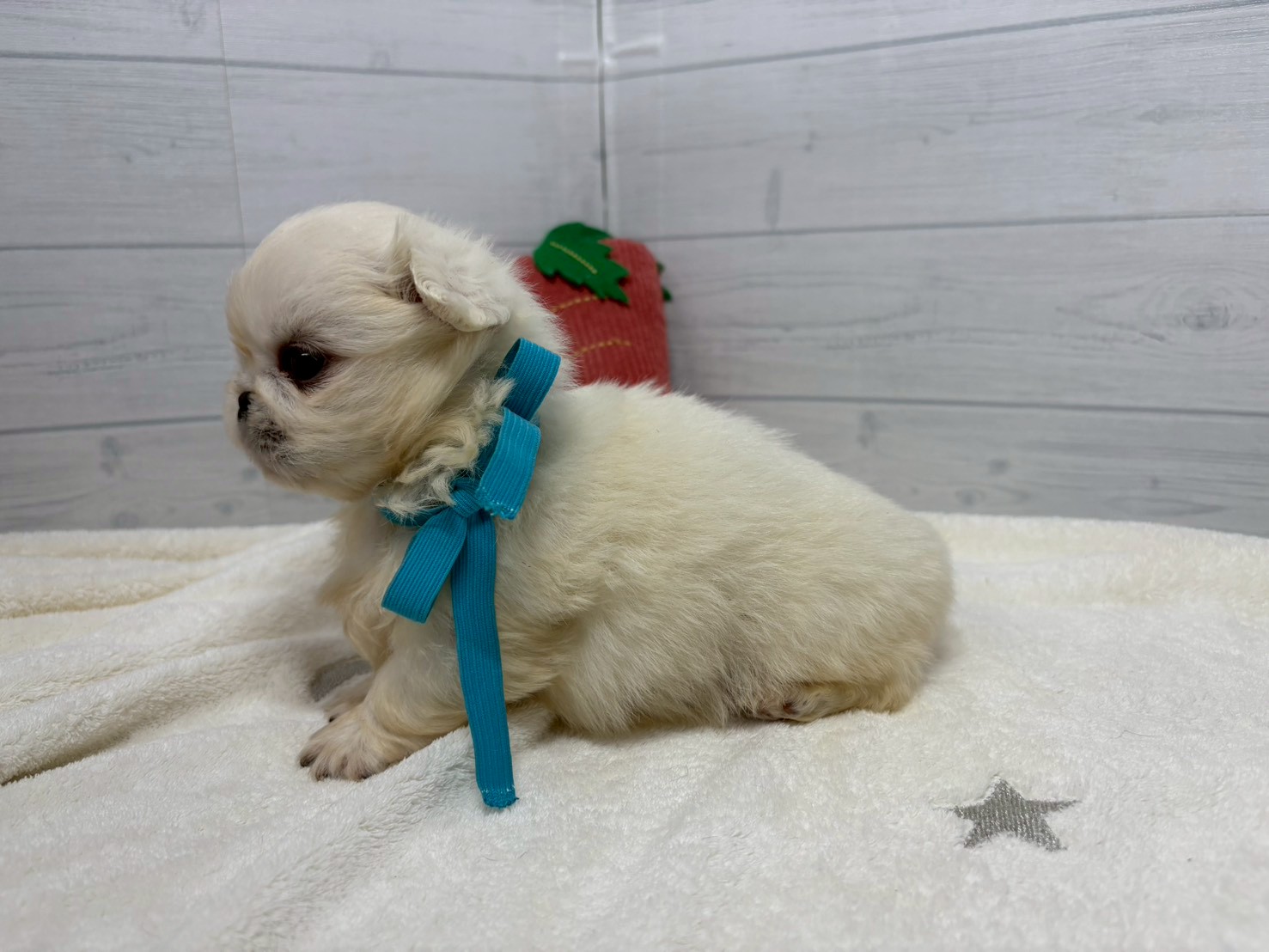 赤ちゃん写真2-2