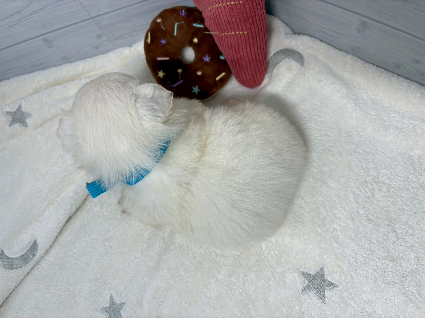 赤ちゃん写真2-3