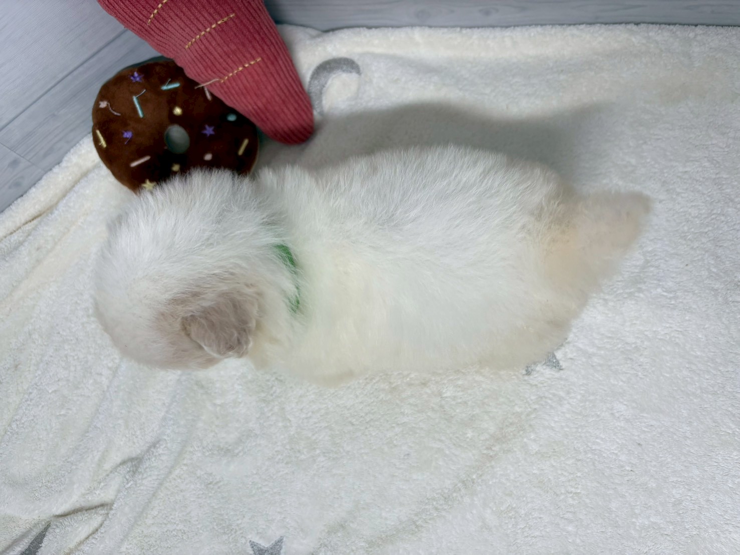 赤ちゃん写真2-3