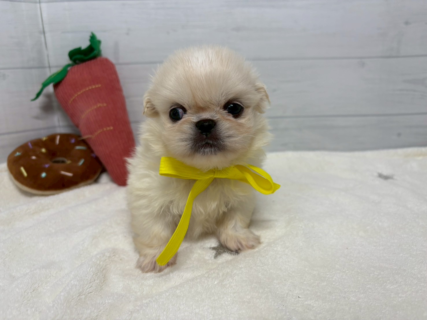 赤ちゃん写真2-1