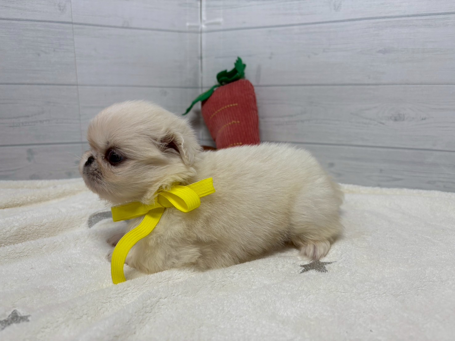 赤ちゃん写真2-2