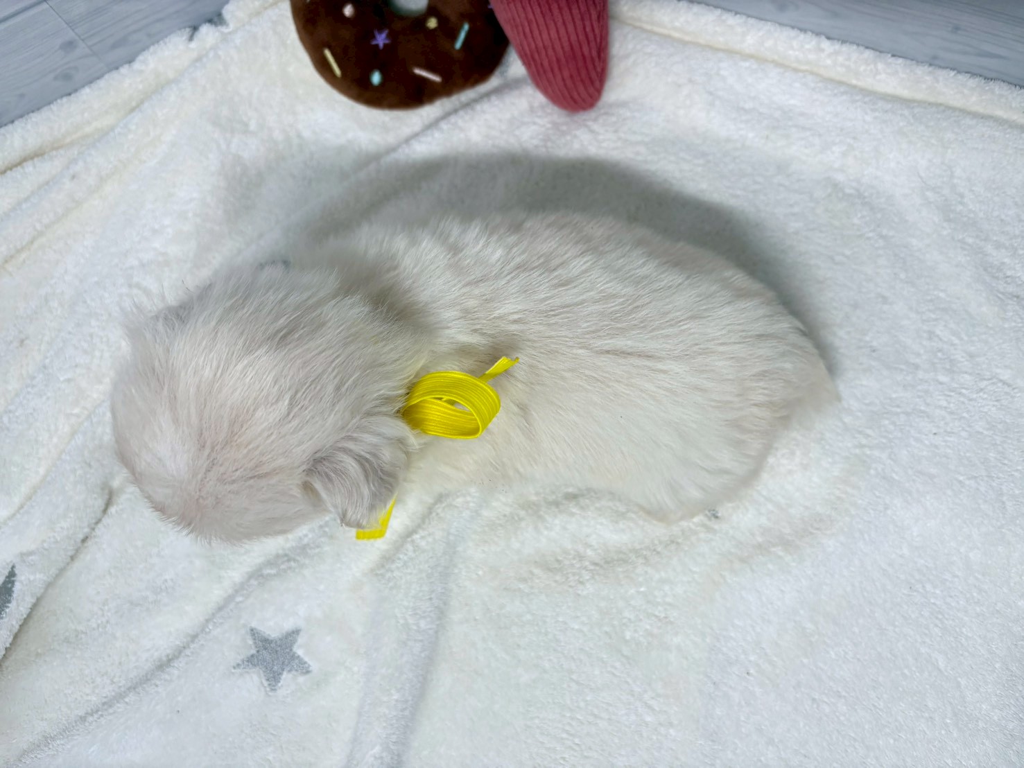 赤ちゃん写真2-3