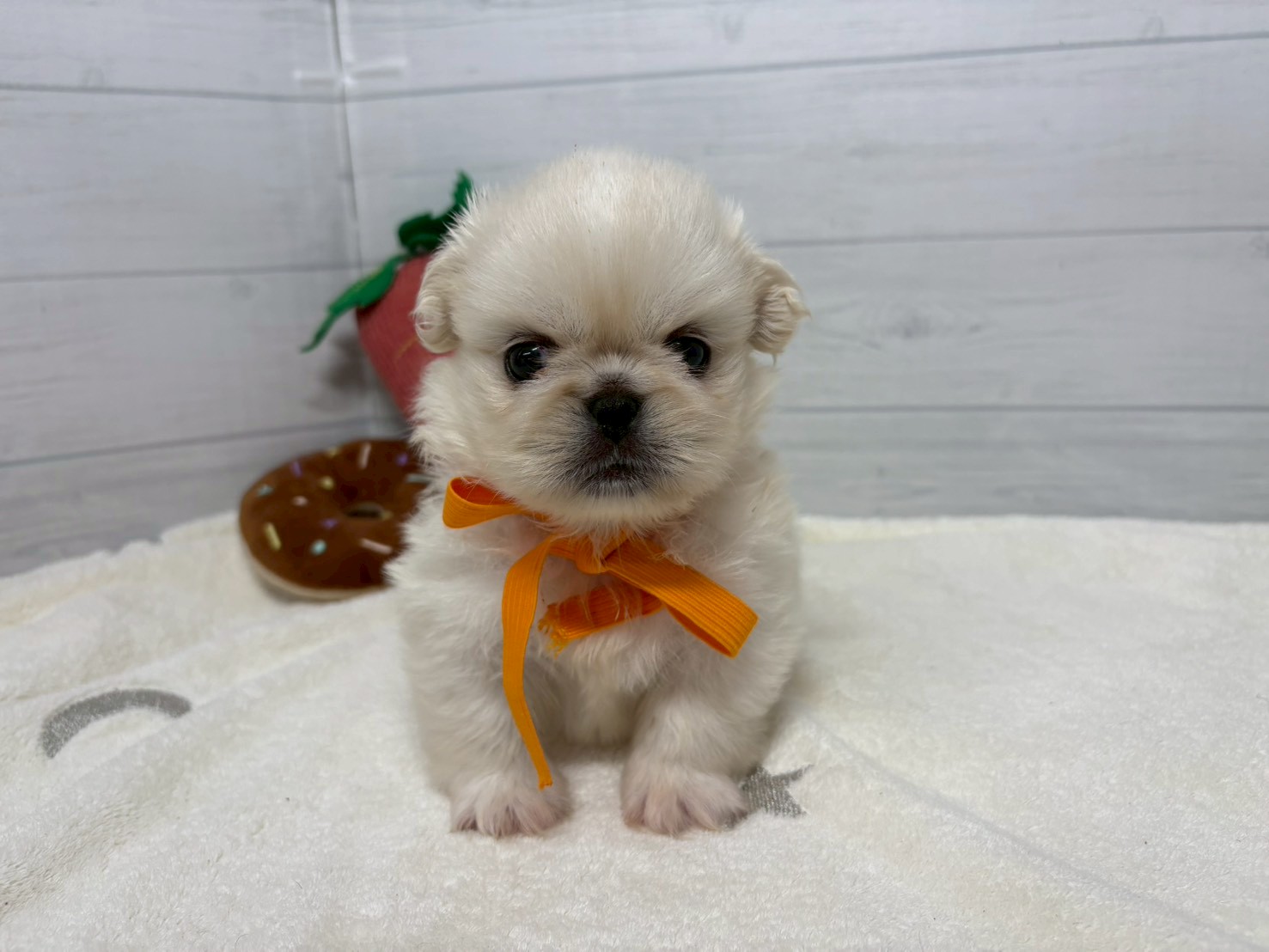 赤ちゃん写真2-1