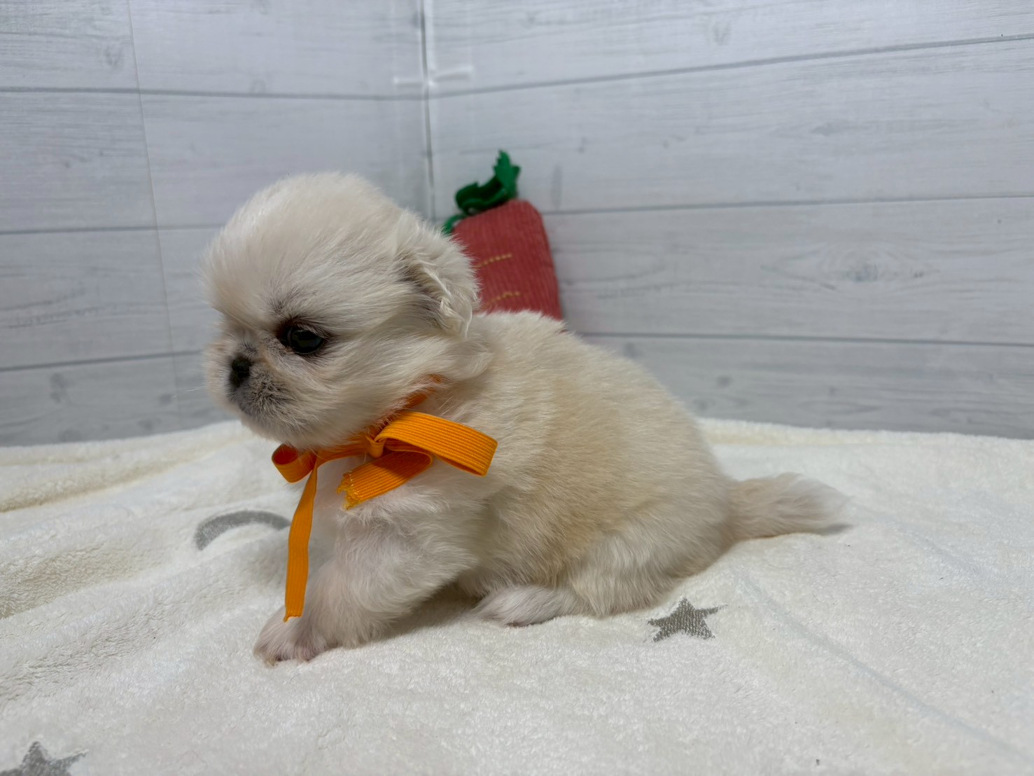 赤ちゃん写真2-2