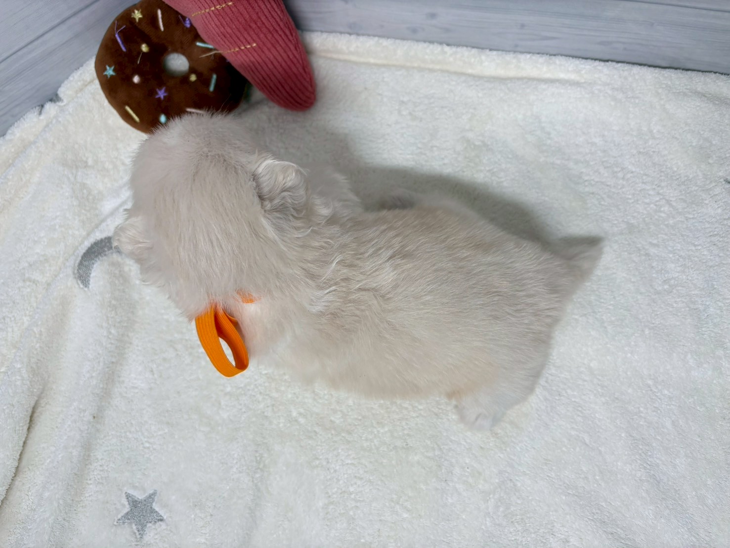 赤ちゃん写真2-3