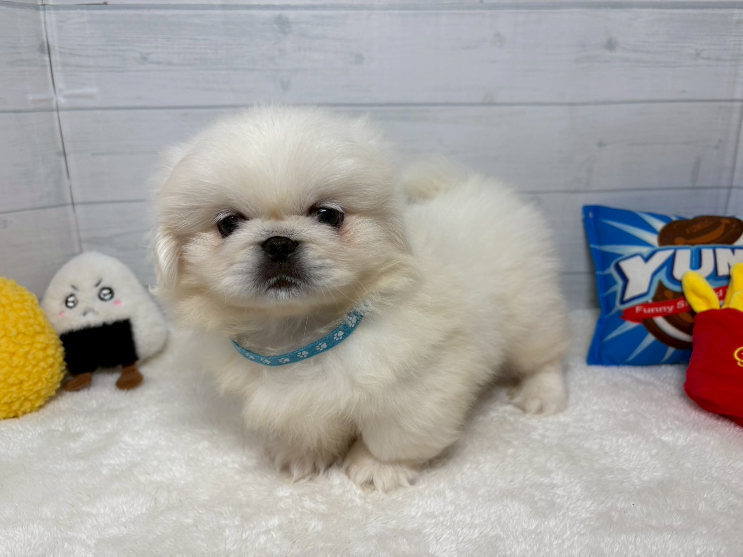 赤ちゃん写真3-1