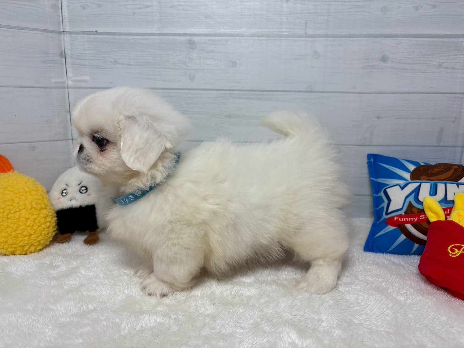 赤ちゃん写真3-2