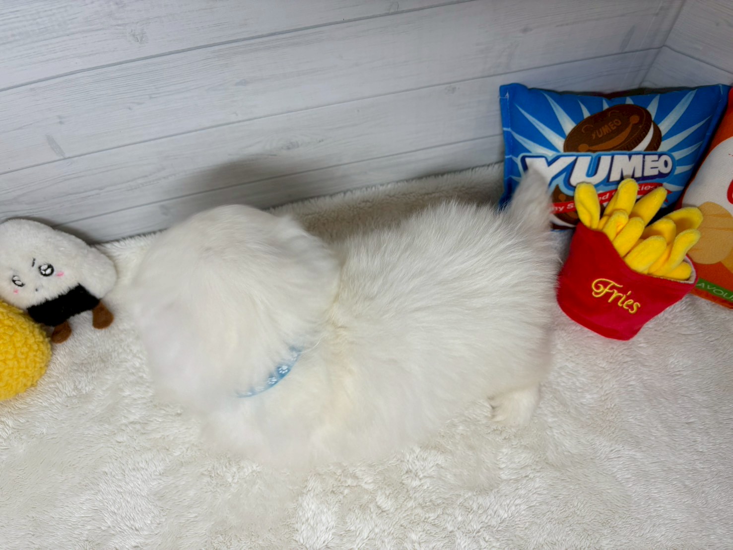 赤ちゃん写真3-3