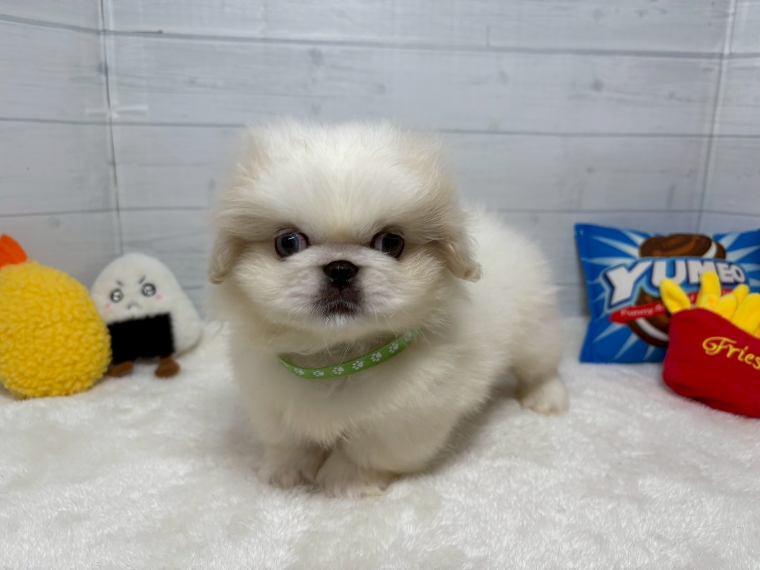 赤ちゃん写真3-1