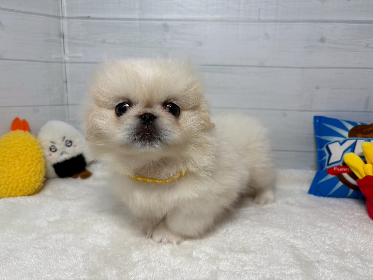 赤ちゃん写真3-1