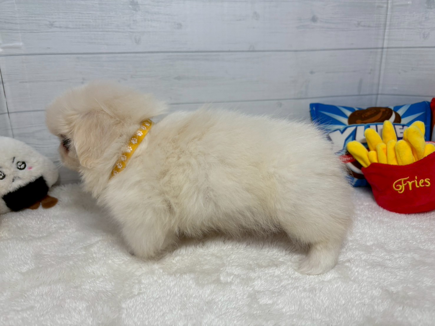 赤ちゃん写真3-2