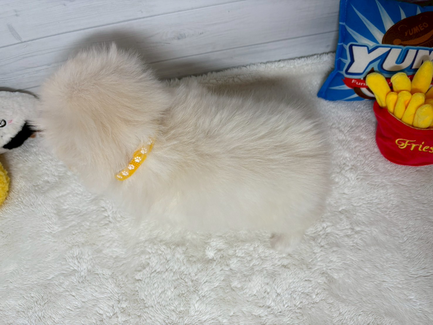 赤ちゃん写真3-3