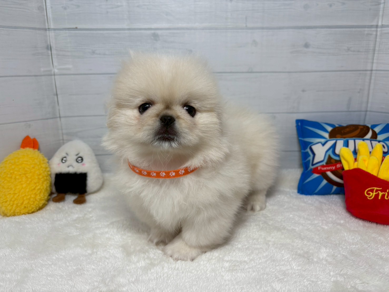 赤ちゃん写真3-1