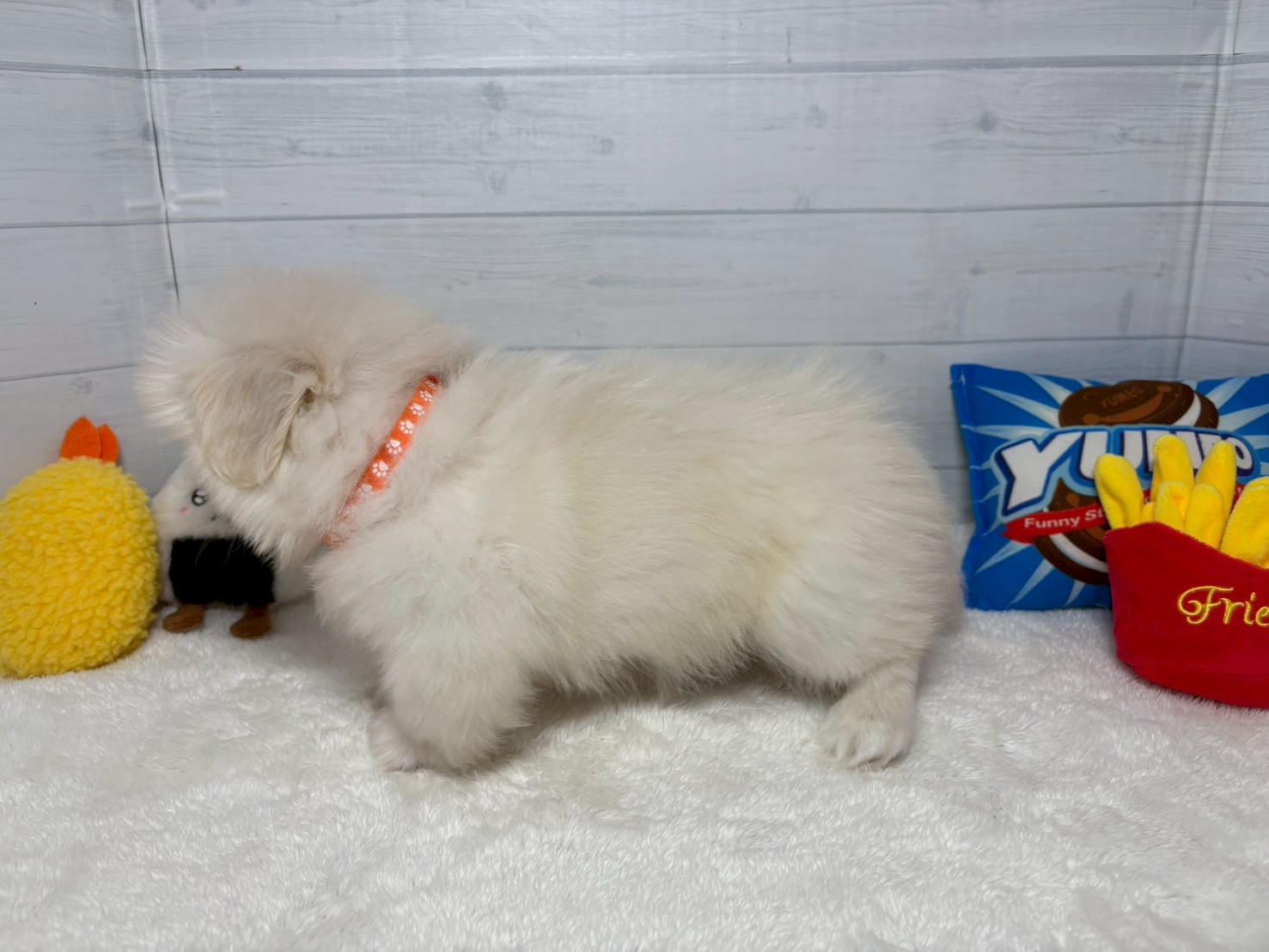 赤ちゃん写真3-2