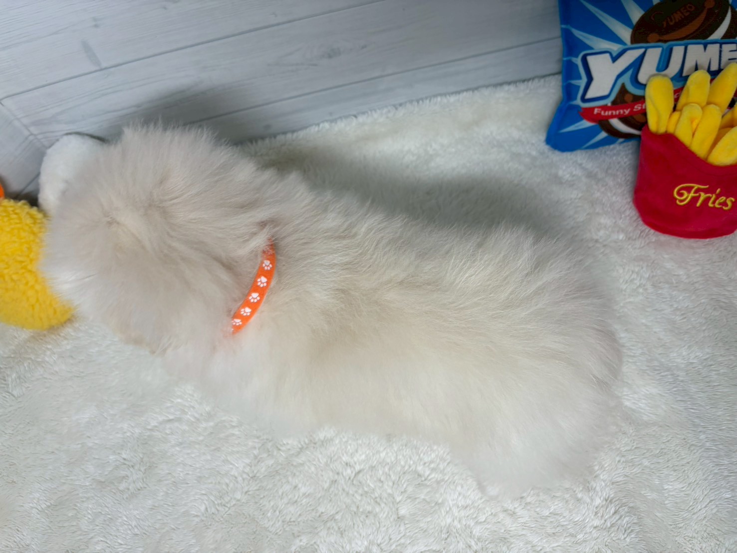 赤ちゃん写真3-3