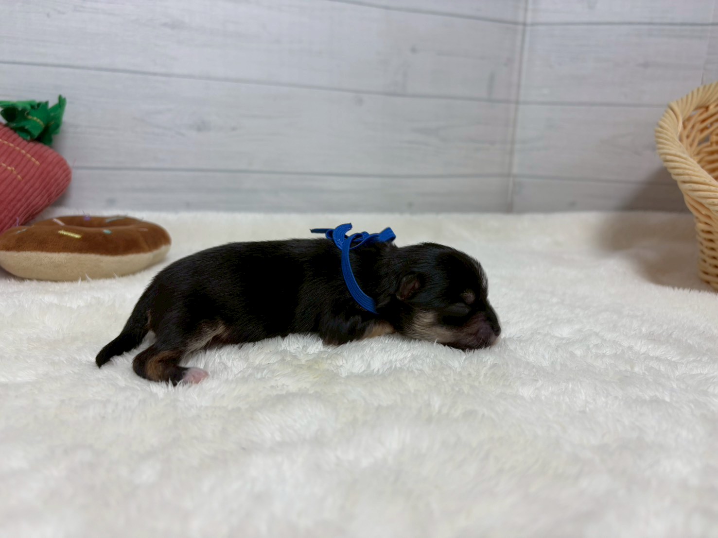 赤ちゃん写真1-2