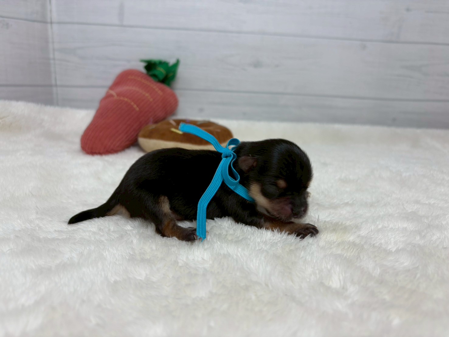 赤ちゃん写真1-2