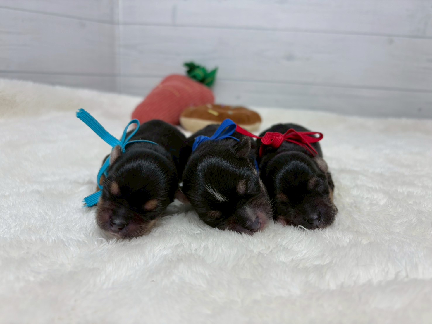 赤ちゃん写真1-3