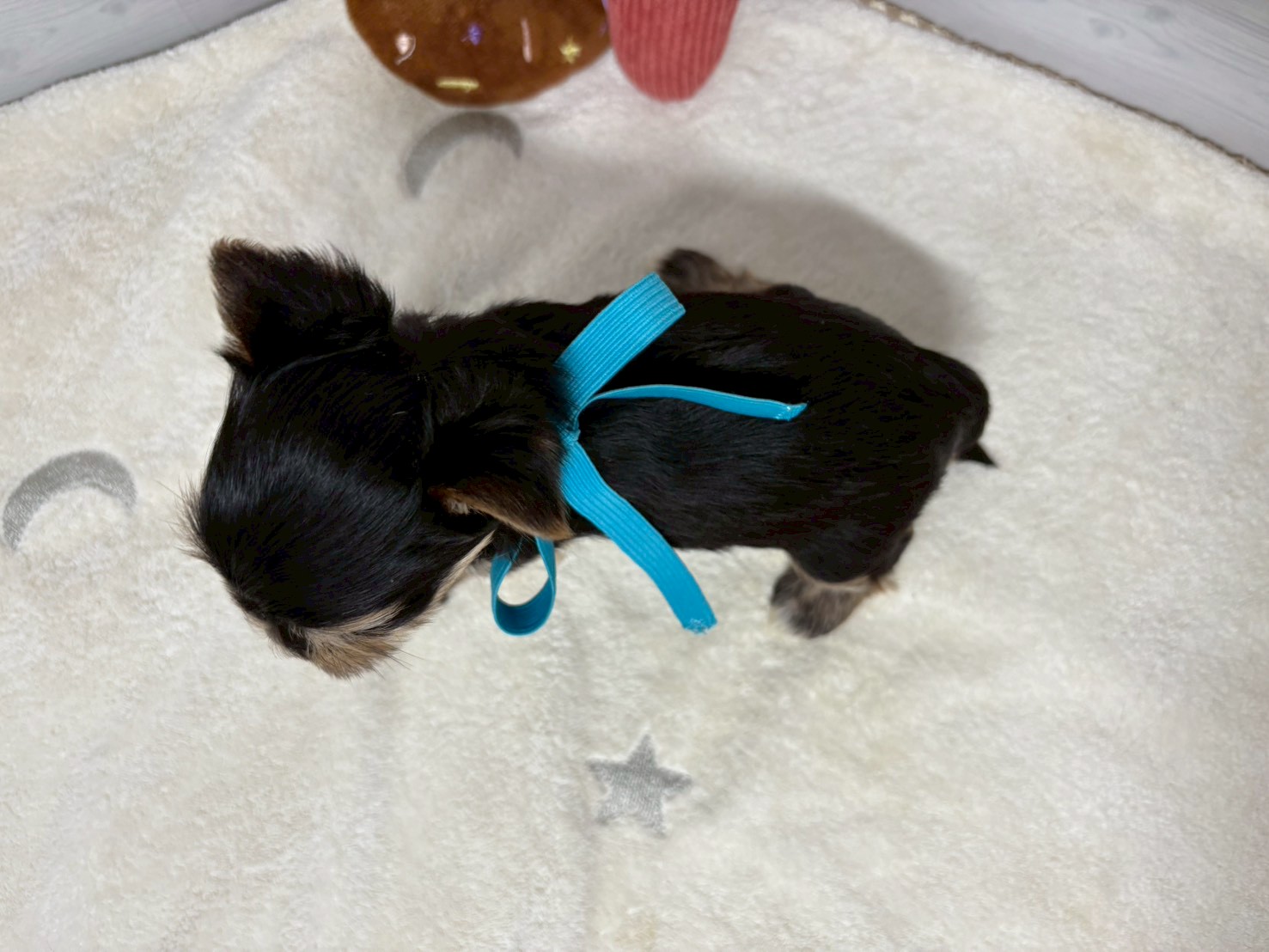赤ちゃん写真2-3