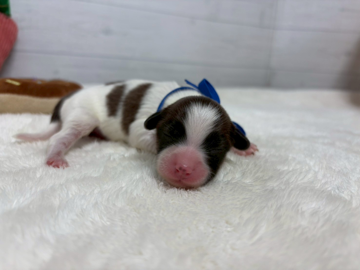 赤ちゃん写真1-1