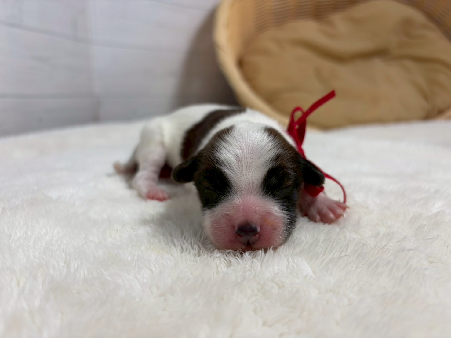 赤ちゃん写真1-1