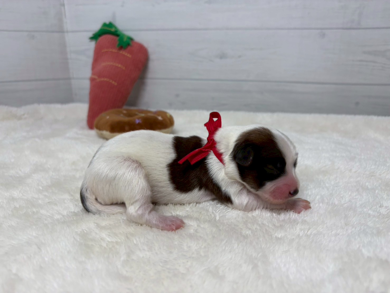 赤ちゃん写真1-2