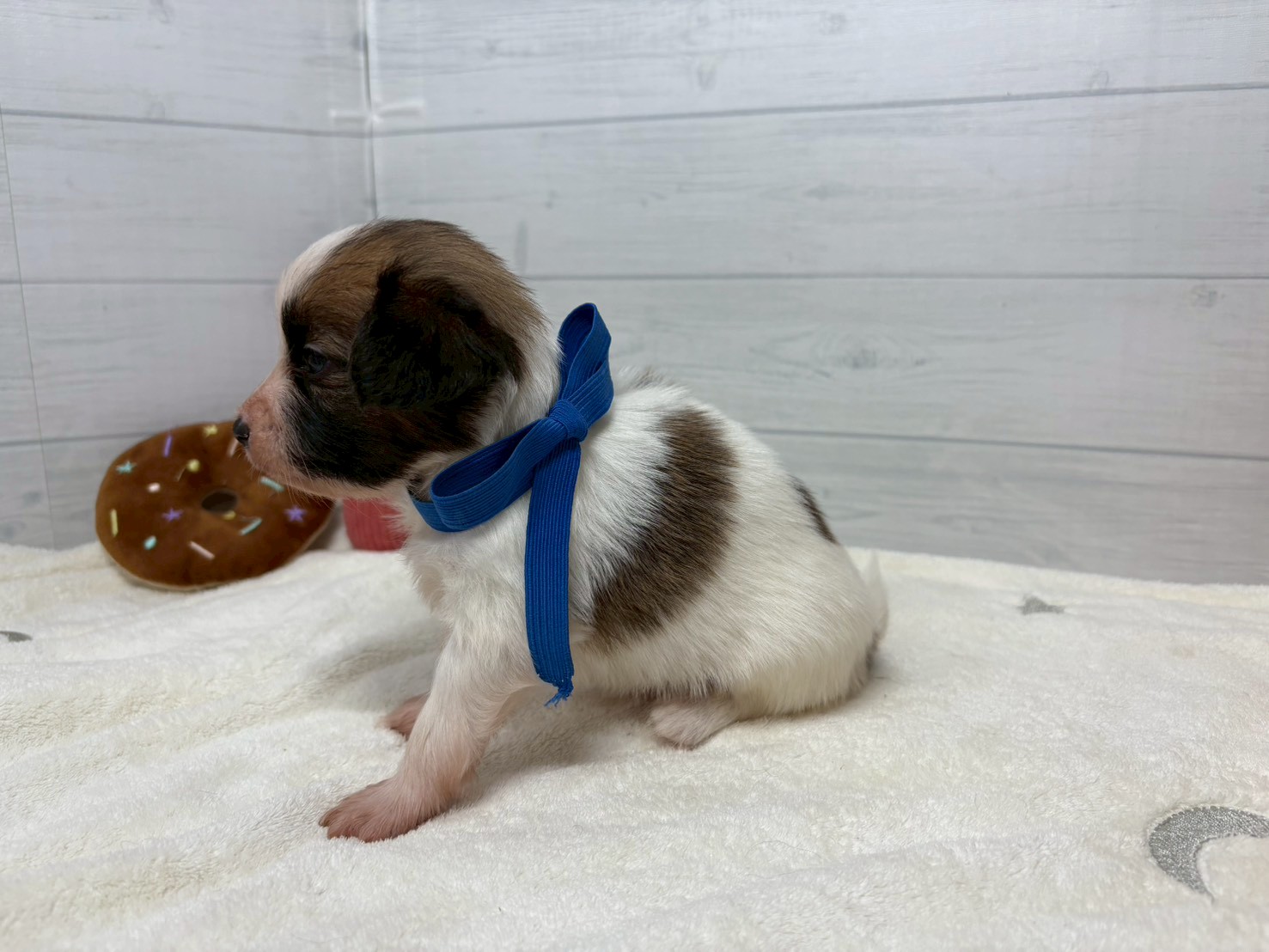 赤ちゃん写真2-2