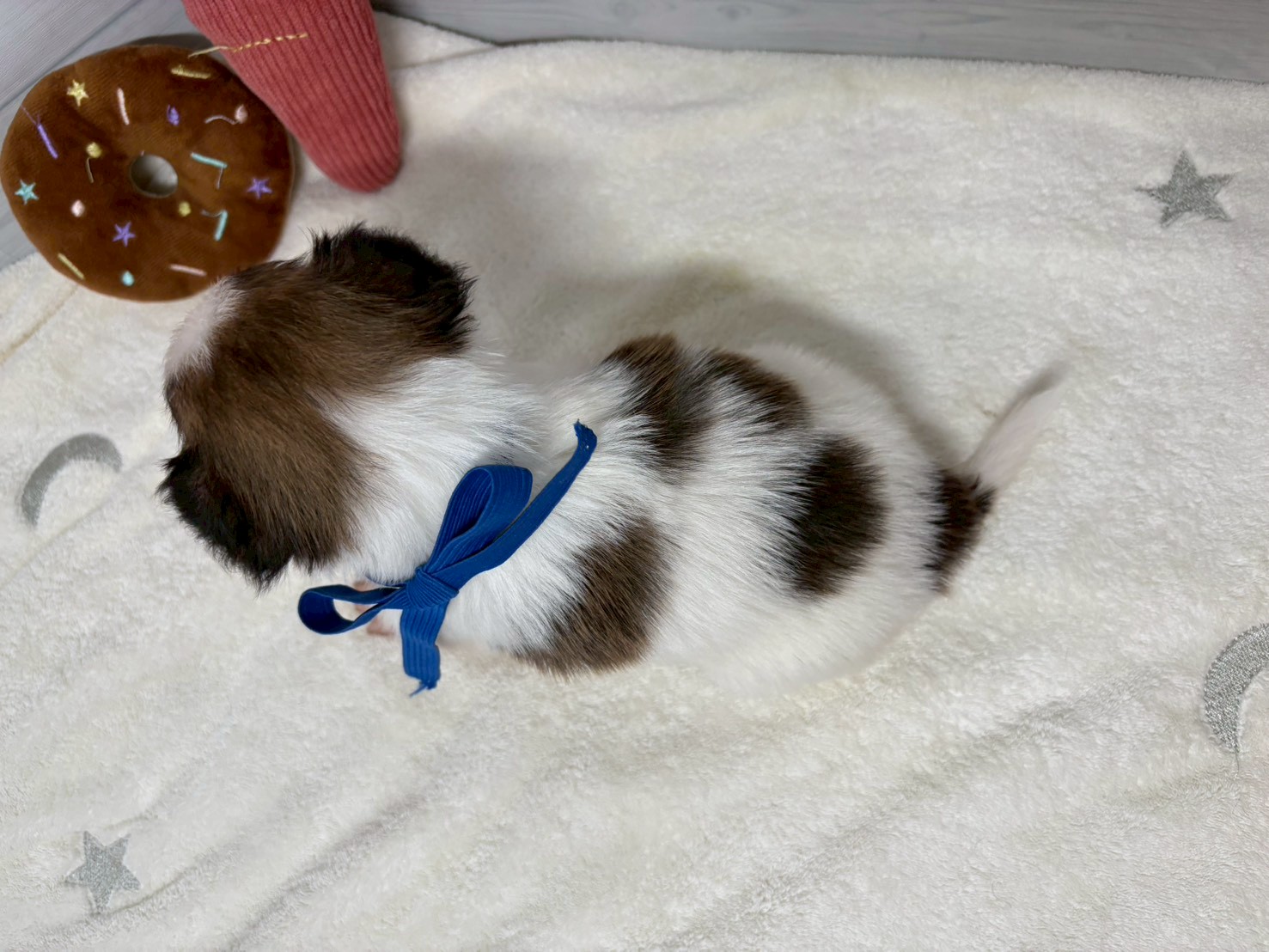 赤ちゃん写真2-3