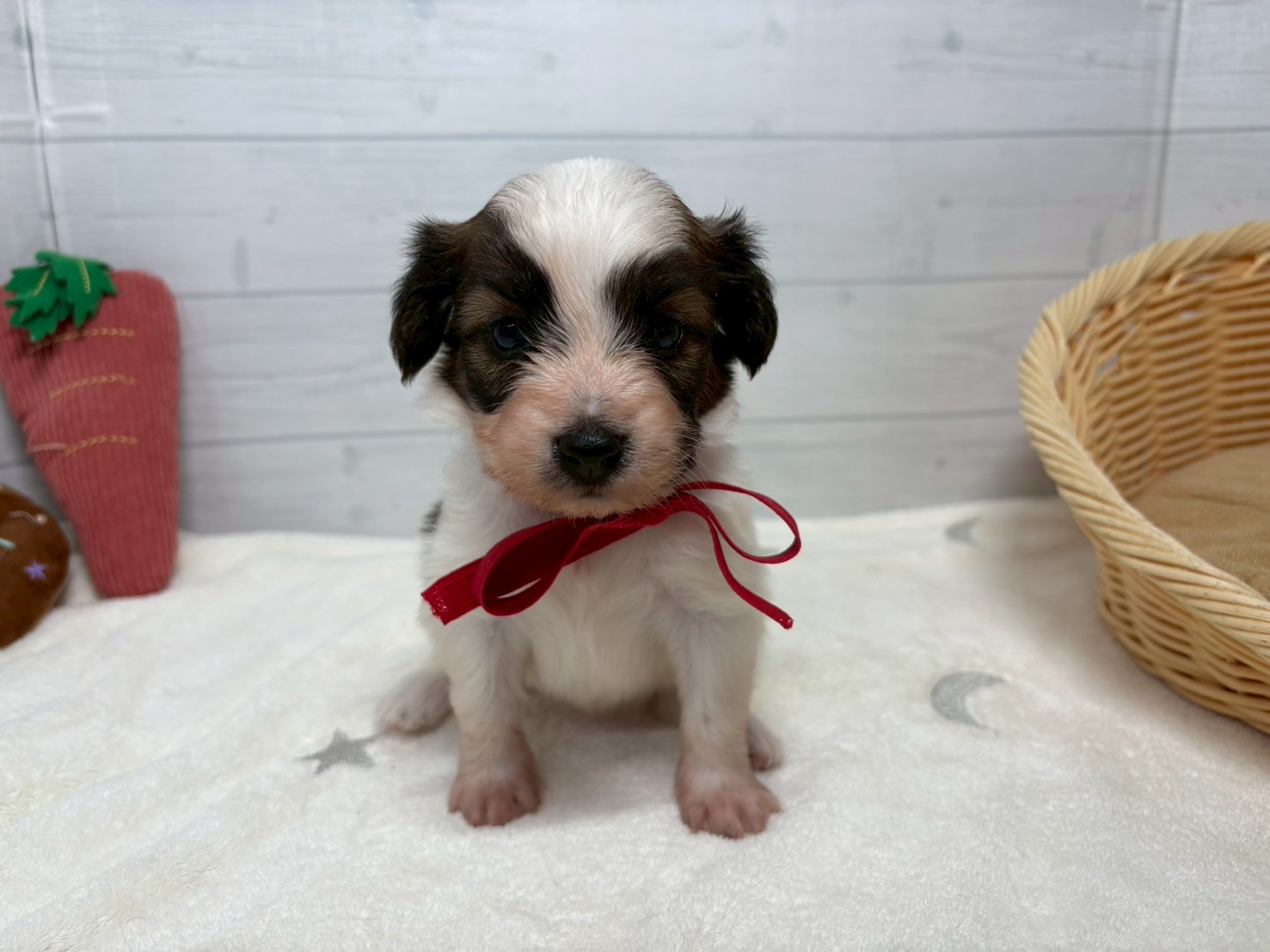 赤ちゃん写真2-1