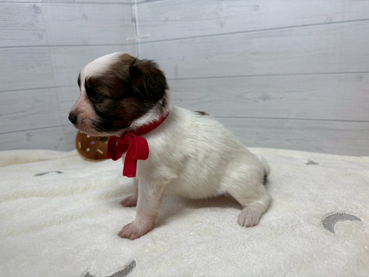 赤ちゃん写真2-2