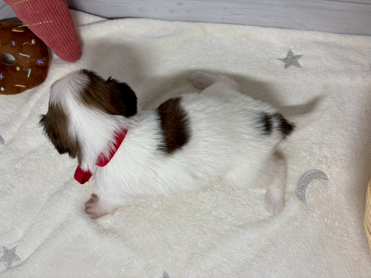 赤ちゃん写真2-3