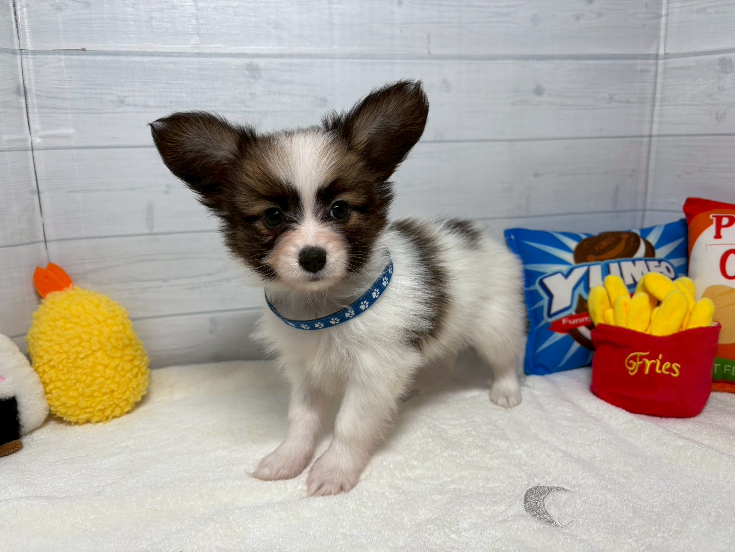 赤ちゃん写真3-1