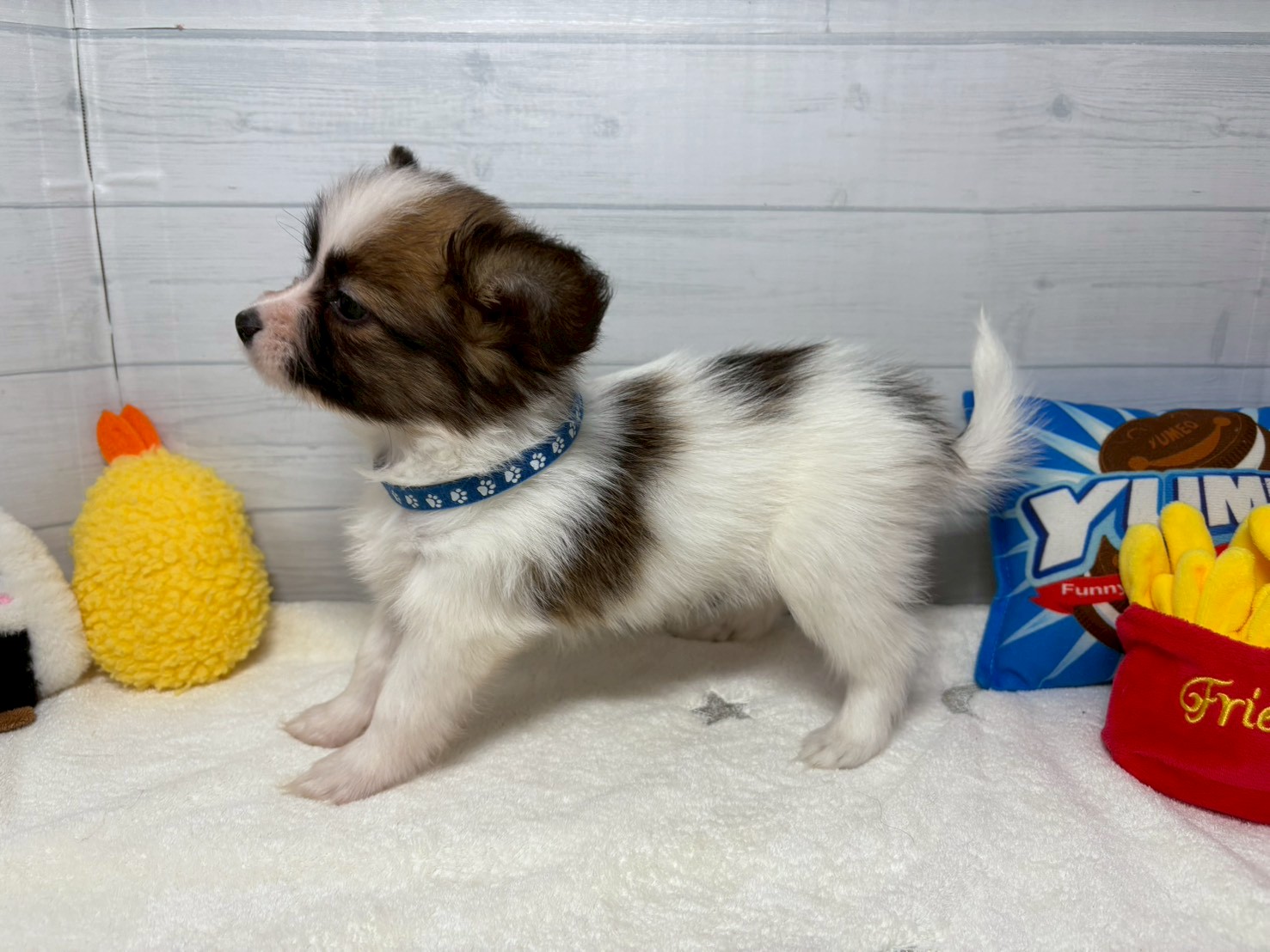 赤ちゃん写真3-2