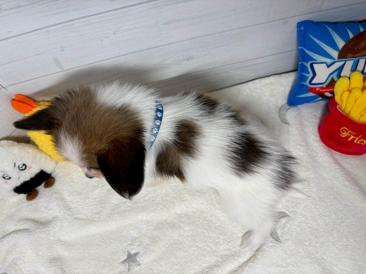 赤ちゃん写真3-3