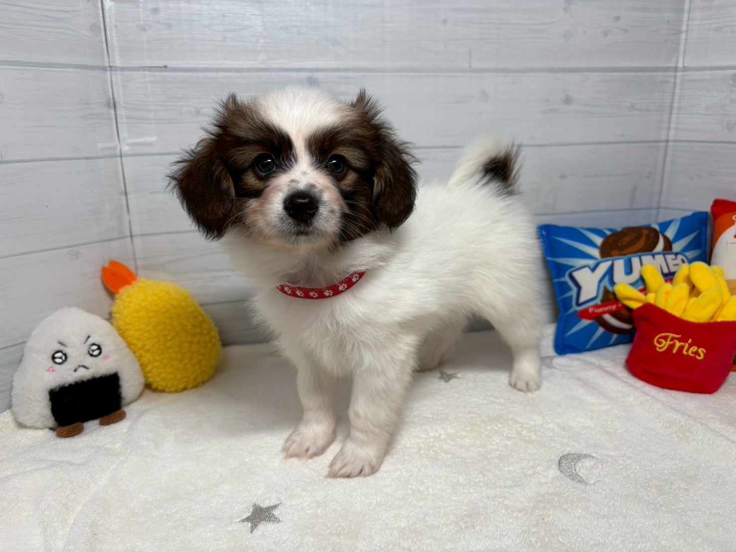 赤ちゃん写真3-1