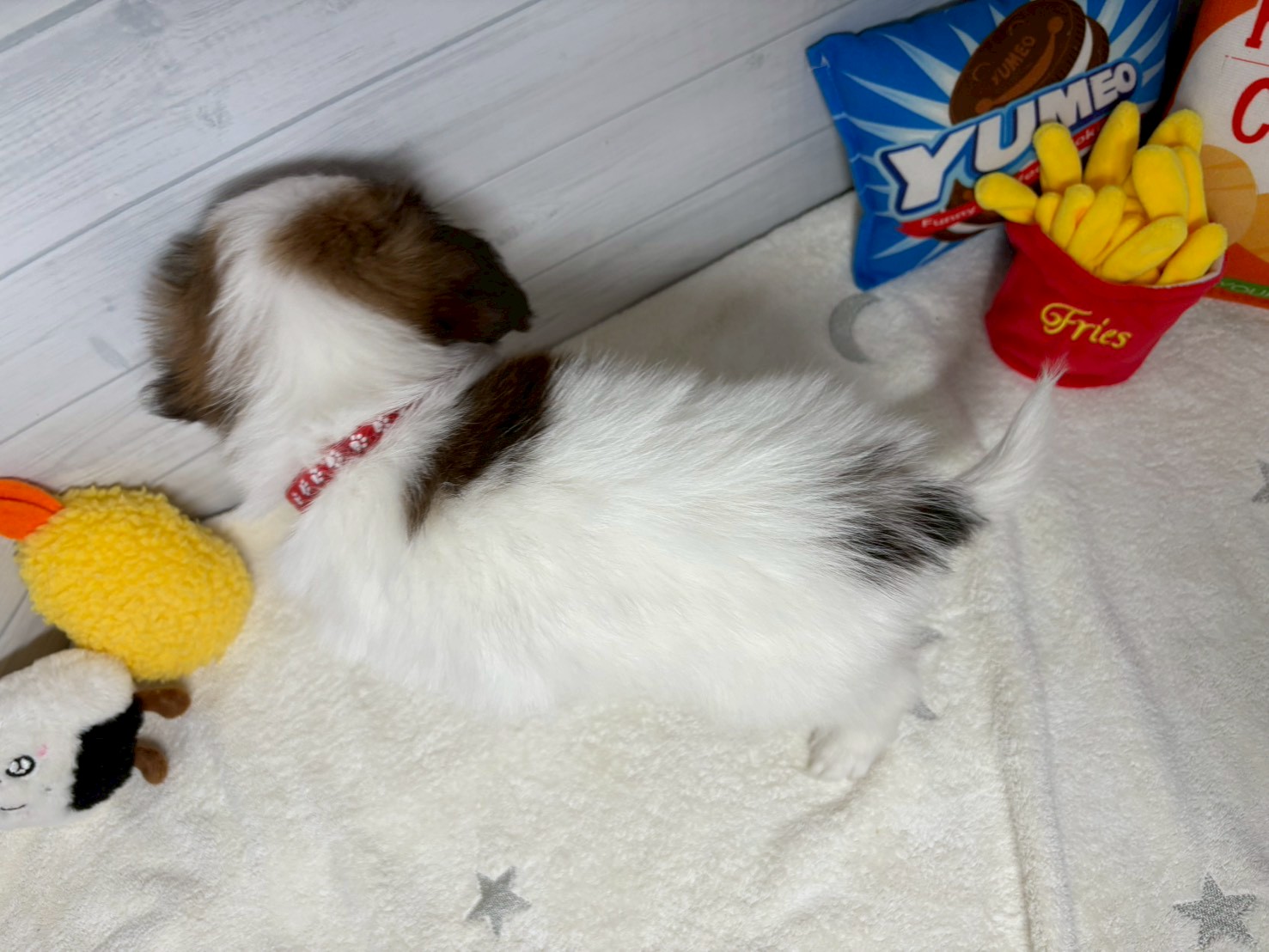 赤ちゃん写真3-3