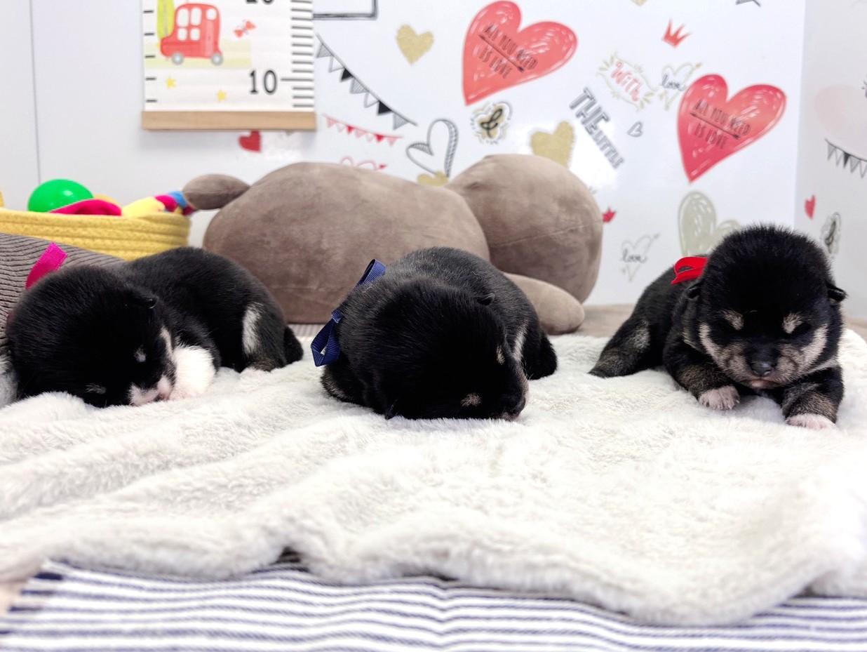 赤ちゃん写真1-3