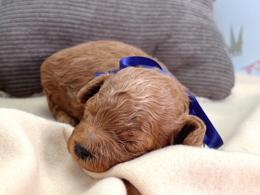 赤ちゃん写真1-1