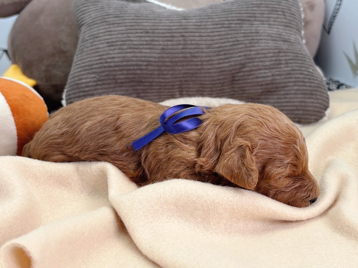 赤ちゃん写真1-2