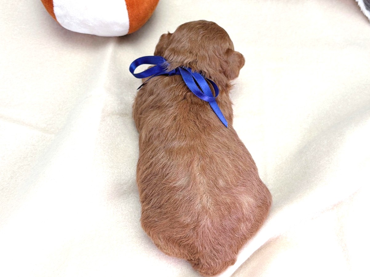 赤ちゃん写真1-3