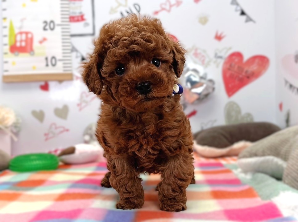 赤ちゃん写真2-1