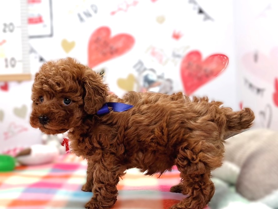 赤ちゃん写真2-2