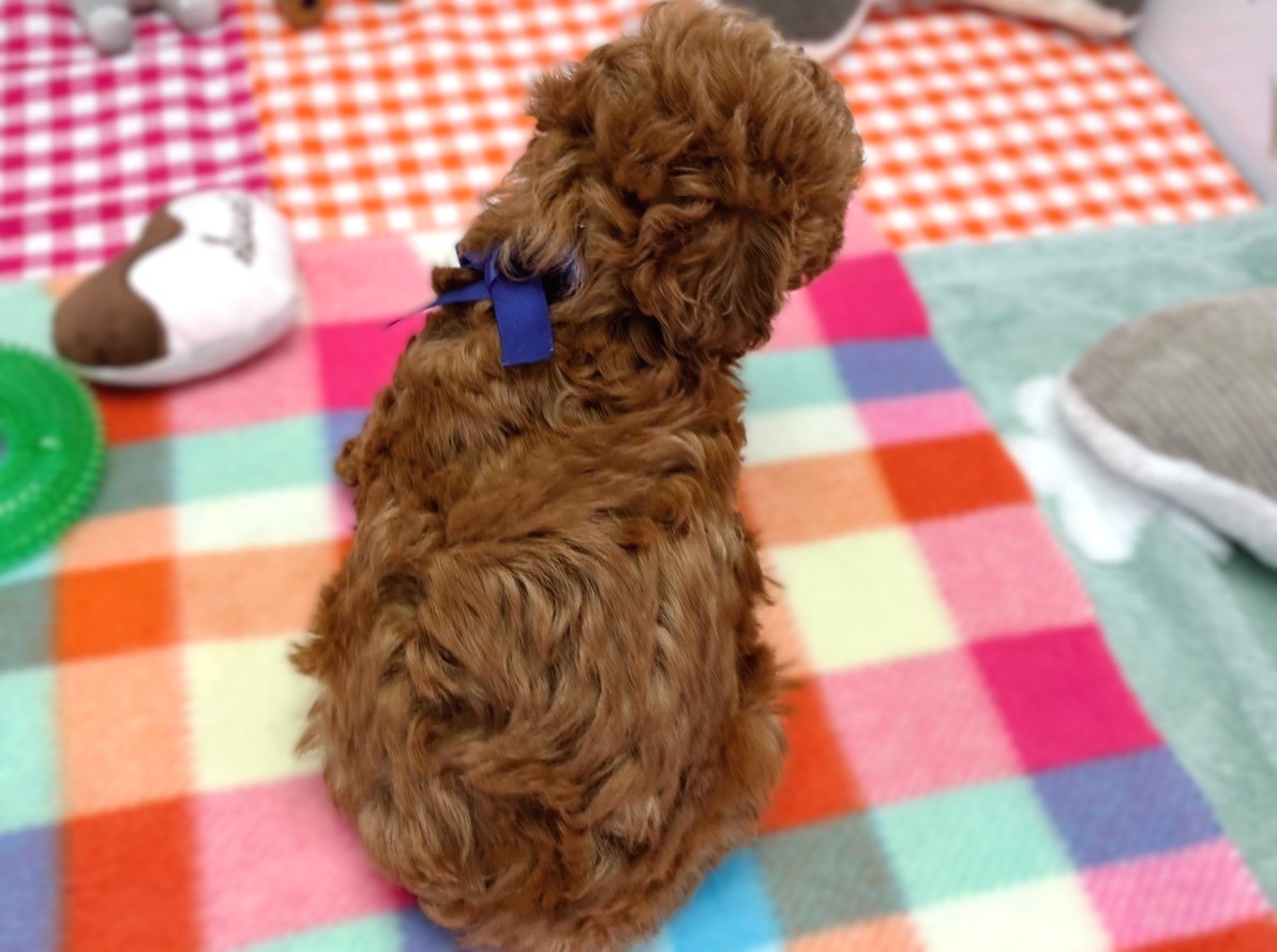 赤ちゃん写真2-3