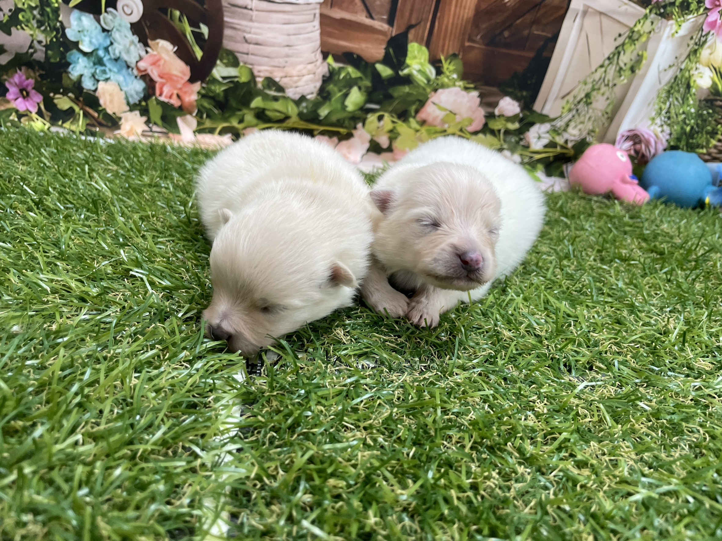 赤ちゃん写真1-3