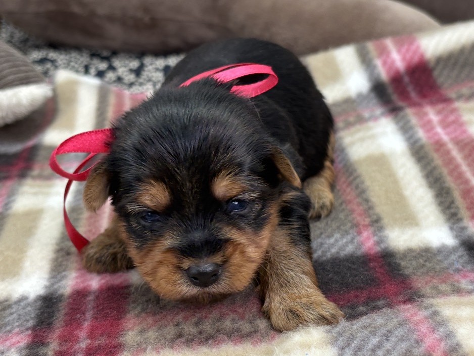 赤ちゃん写真1-1