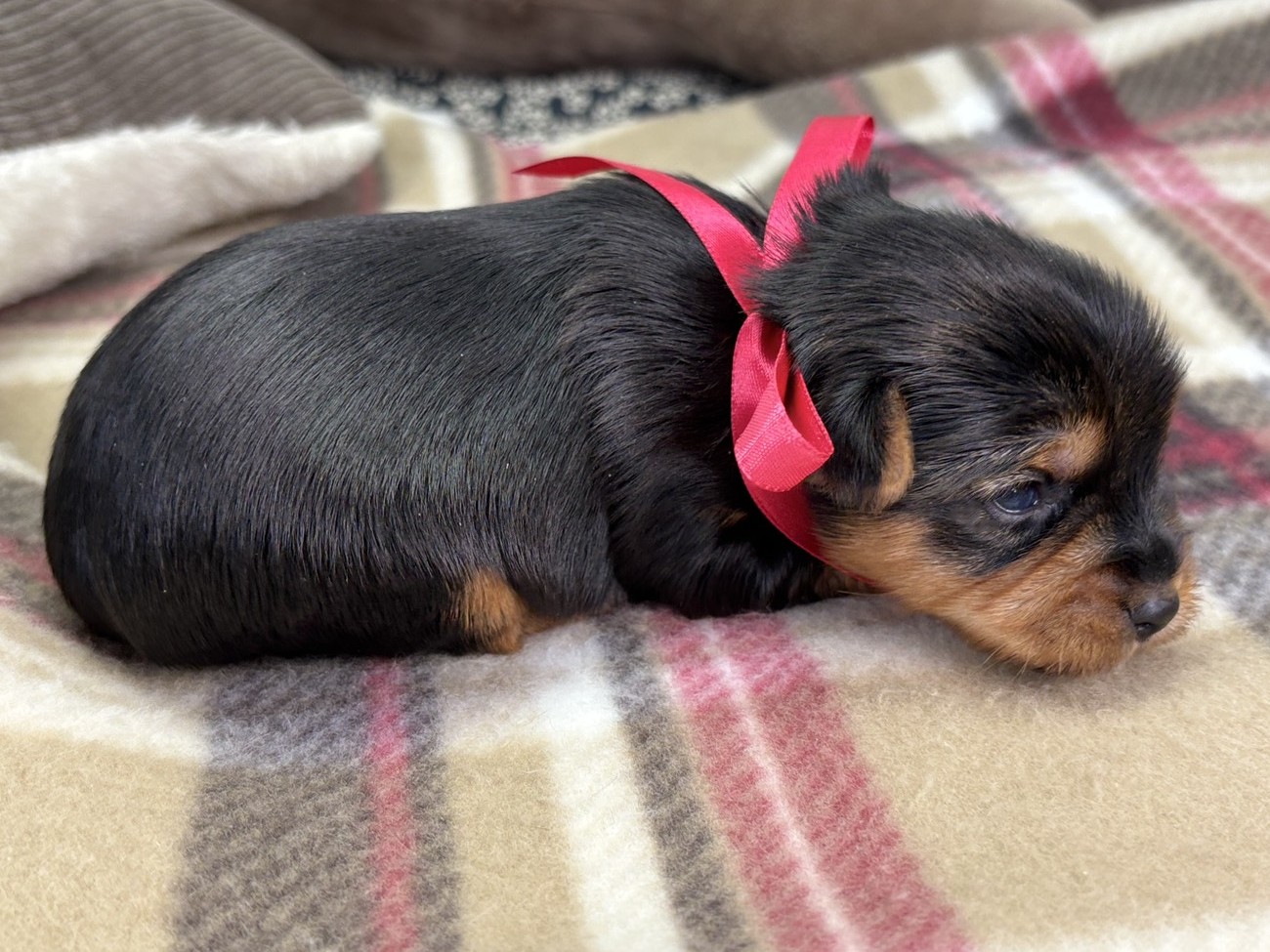 赤ちゃん写真1-2