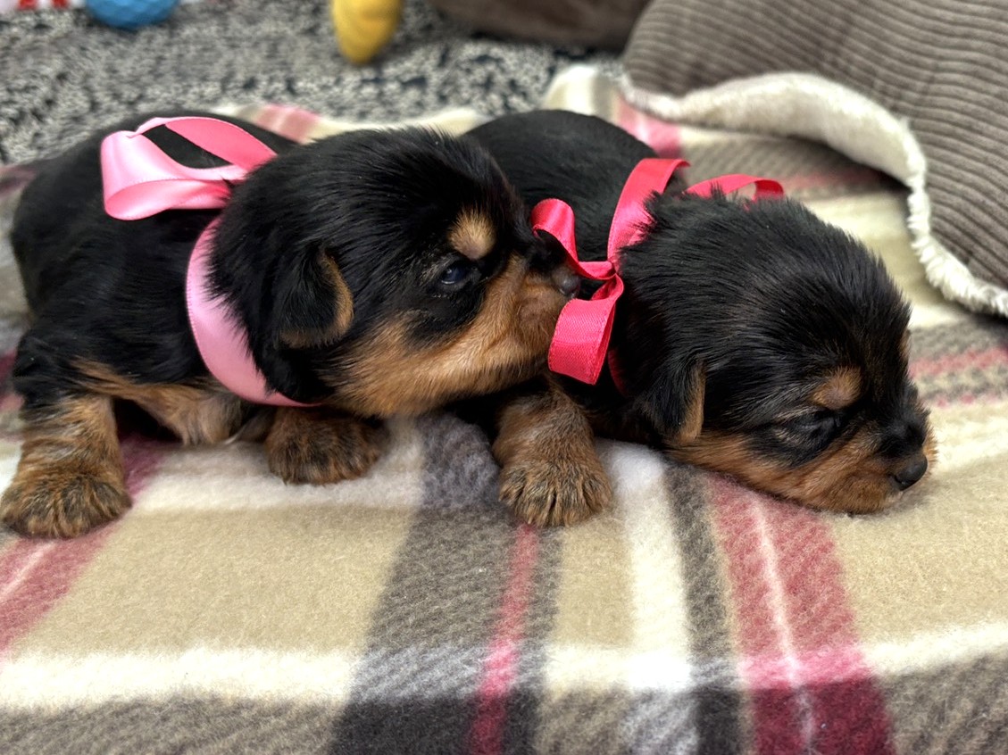 赤ちゃん写真1-3