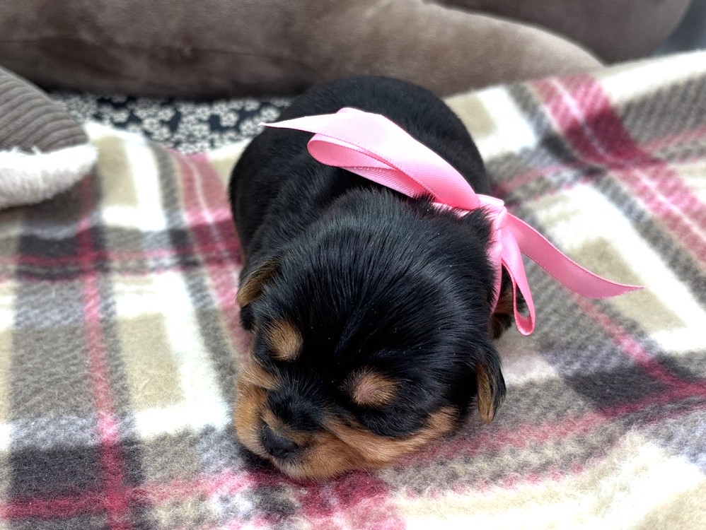 赤ちゃん写真1-1